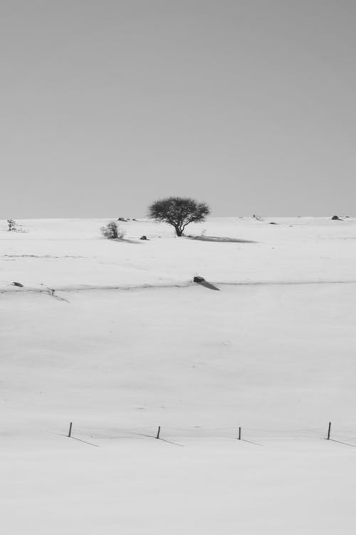 有关冬季, 垂直拍摄, 大雪覆盖的免费素材图片