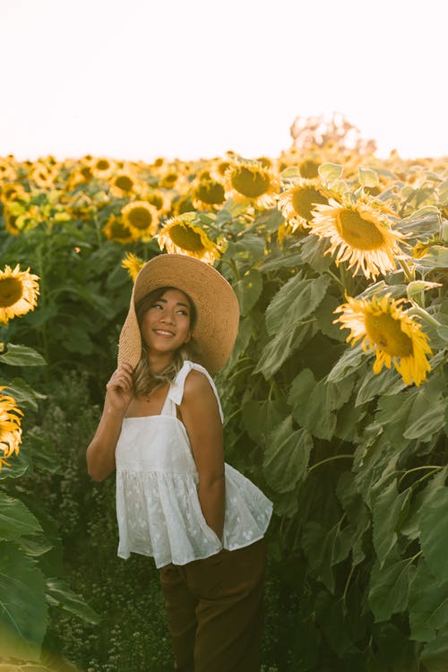 有关向日葵, 垂直拍摄, 太阳帽的免费素材图片