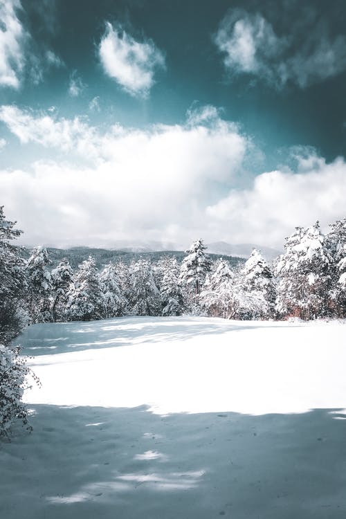 有关下雪的, 冬季, 垂直拍摄的免费素材图片