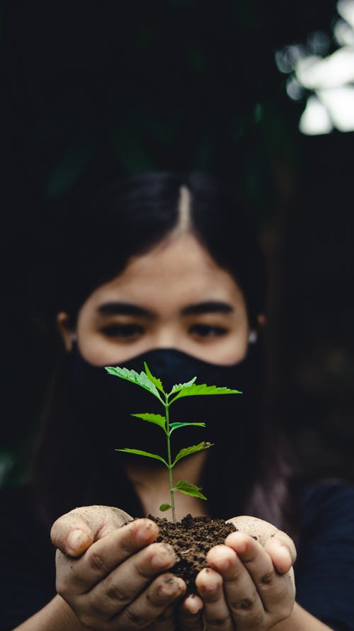 有关垂直拍摄, 女人, 工厂的免费素材图片