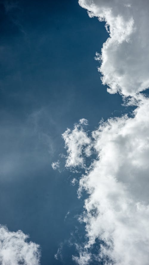 有关低角度拍摄, 明亮的天空, 浮云的免费素材图片