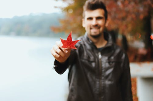 有关下落, 人, 季节的免费素材图片