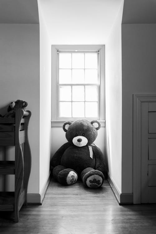 有关可爱, 垂直拍摄, 泰迪熊的免费素材图片