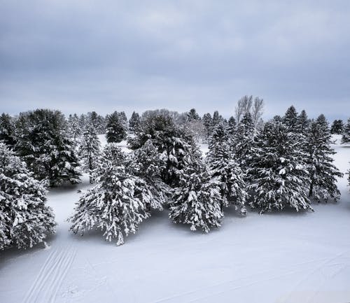 有关冬季, 大雪覆盖, 天性的免费素材图片