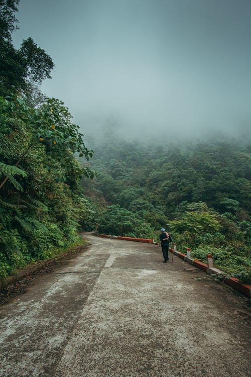 有关垂直拍摄, 山路, 有雾的免费素材图片