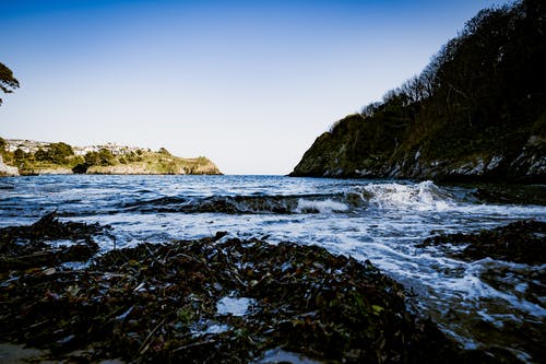 有关天性, 撞击波浪, 海景的免费素材图片