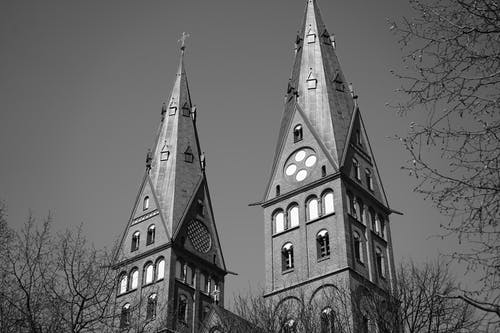 有关大教堂圣玛丽安, 树枝, 灰阶的免费素材图片