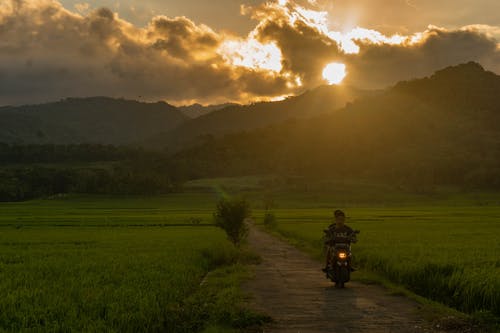 有关农业领域, 摩托车, 日出的免费素材图片