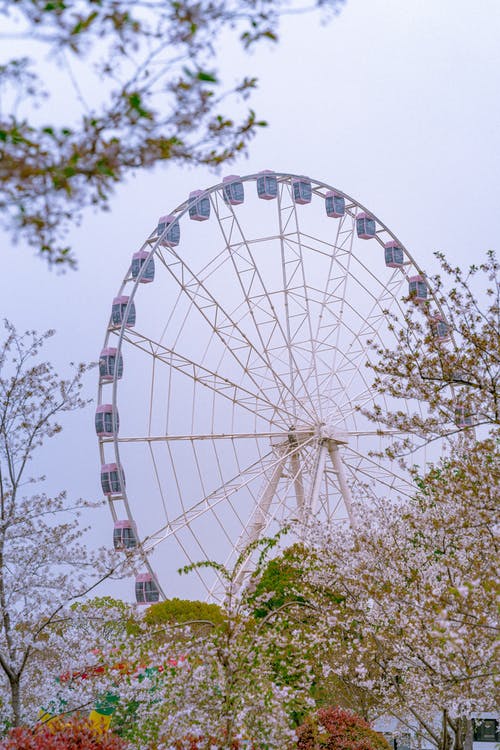 有关公园, 圆形, 天空的免费素材图片