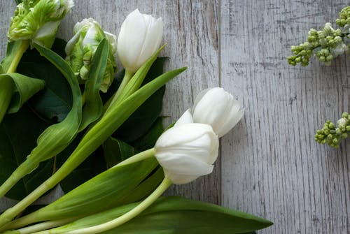 有关3月8日, 一串, 光的免费素材图片