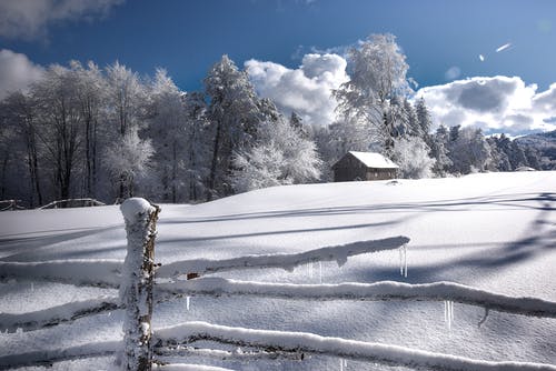 有关下雪的天气, 冬季, 冬季景观的免费素材图片