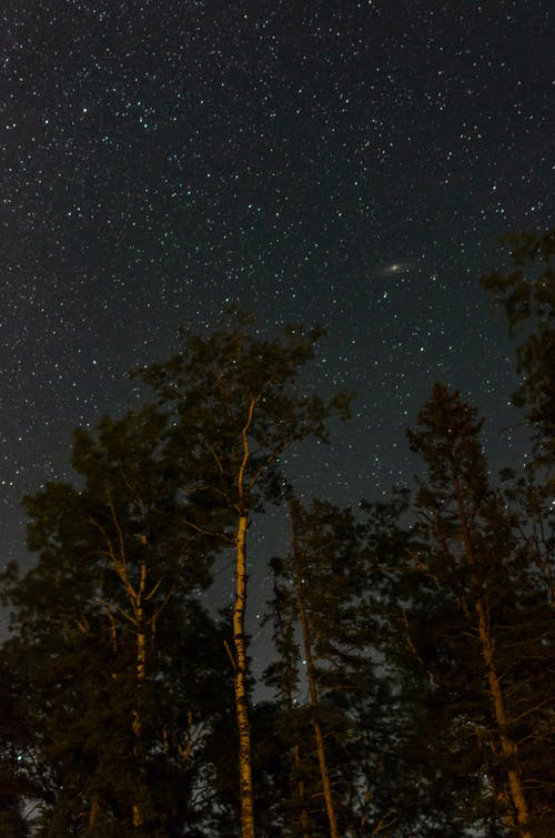 有关垂直拍摄, 夜空, 天性的免费素材图片