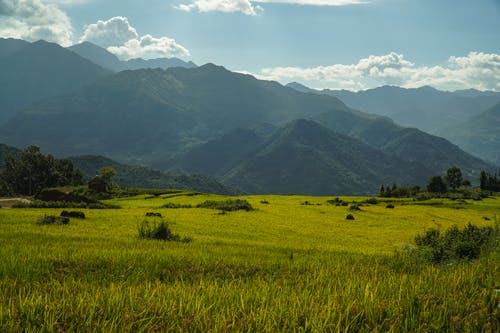 有关夏天, 山, 山丘的免费素材图片