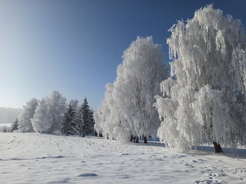 有关下雪的, 冬季, 冬季壁纸的免费素材图片