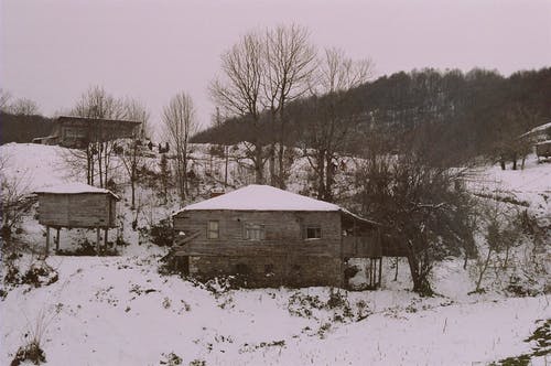 有关冬季, 冷, 大雪覆盖的免费素材图片