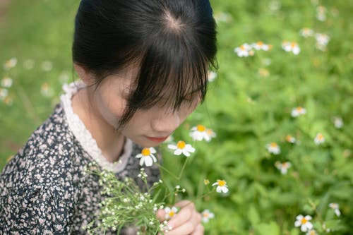 有关女人, 碎花连衣裙, 绿草地的免费素材图片