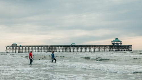 有关招手, 海, 海洋的免费素材图片