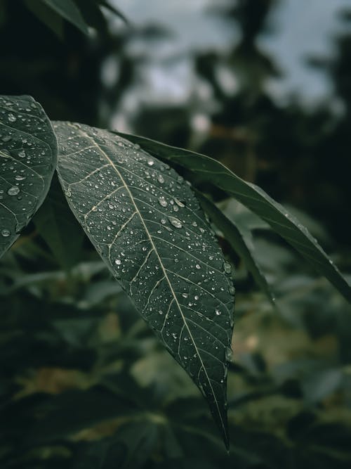 有关垂直拍摄, 工厂, 户外的免费素材图片