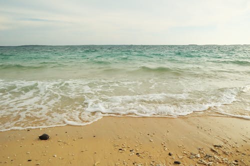 有关招手, 波浪撞击, 海滨的免费素材图片