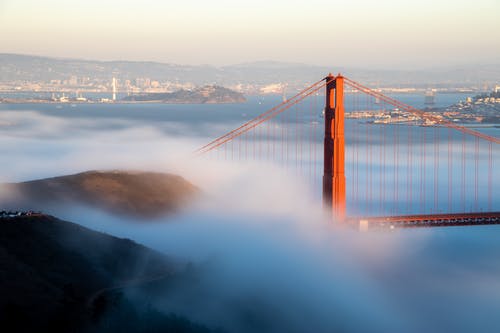 有关吊桥, 基础设施, 有薄雾的的免费素材图片
