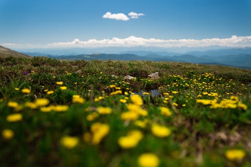 有关夏天, 山, 户外的免费素材图片