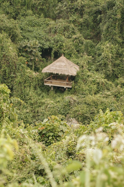 有关尼帕小屋, 户外, 景观的免费素材图片