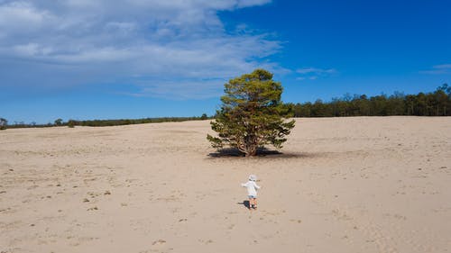 有关全景, 冒险, 夏天的免费素材图片