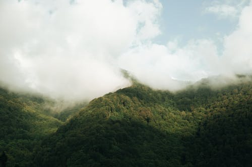 有关多雲的, 天性, 有霧的免费素材图片