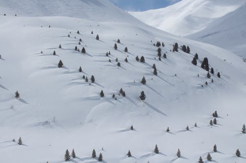 有关冬季, 冷, 大雪覆盖的免费素材图片