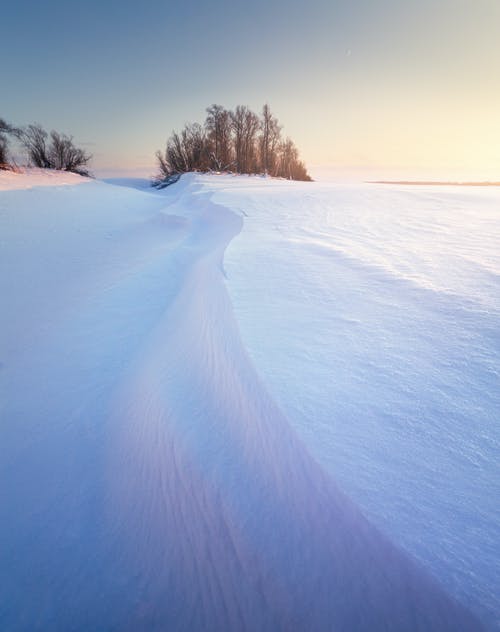 有关下雪的, 光秃秃的树木, 冬季的免费素材图片