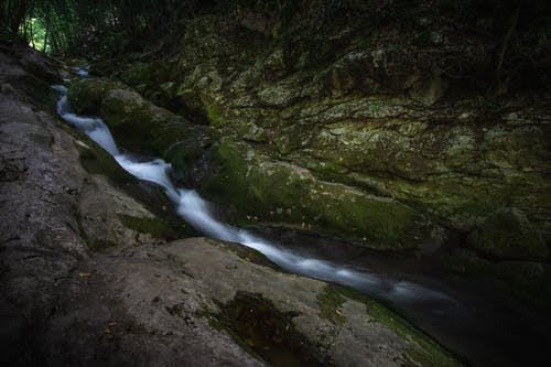 有关天性, 小河, 岩石的免费素材图片