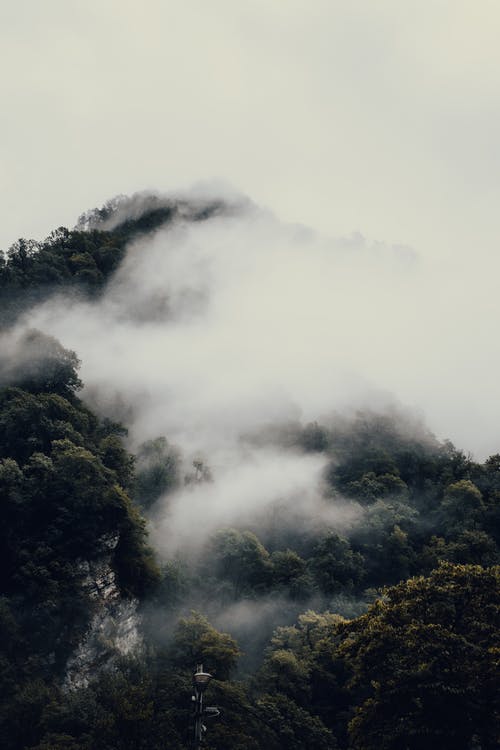 有关垂直拍摄, 天性, 户外的免费素材图片