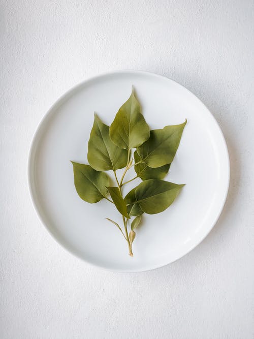 有关Flatlay, 俯视图, 垂直拍摄的免费素材图片