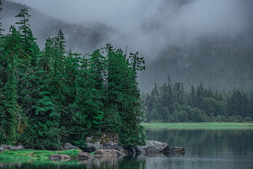 有关和平的, 宁静, 平静的免费素材图片