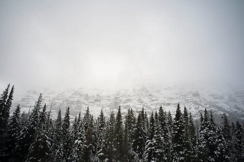 有关下雪, 下雪的天气, 大雪覆盖的免费素材图片