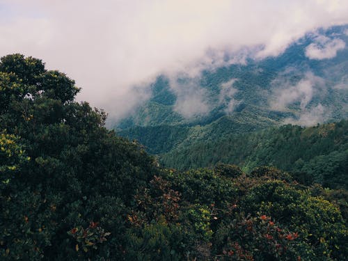 有关天性, 山, 景观的免费素材图片