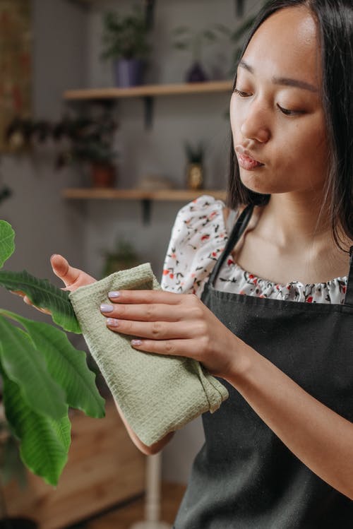 有关女人, 室内, 家务的免费素材图片