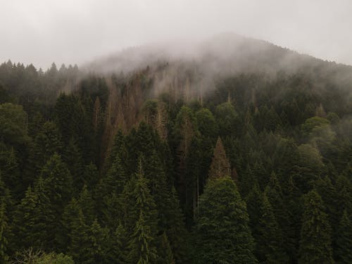 有关天性, 山, 户外的免费素材图片