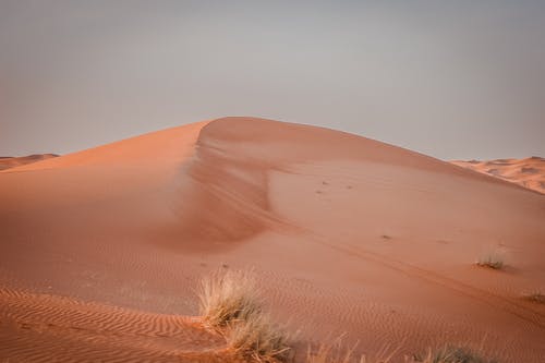 有关乾旱, 乾的, 地形的免费素材图片