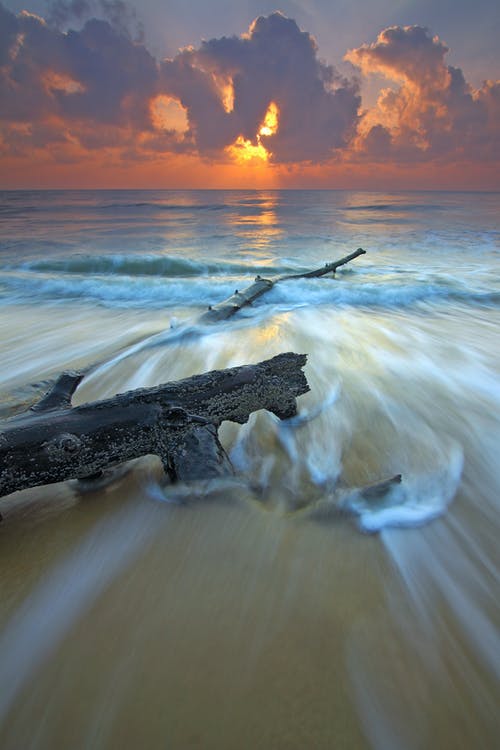 黑木分支在日落期间横跨波浪海海滩 · 免费素材图片