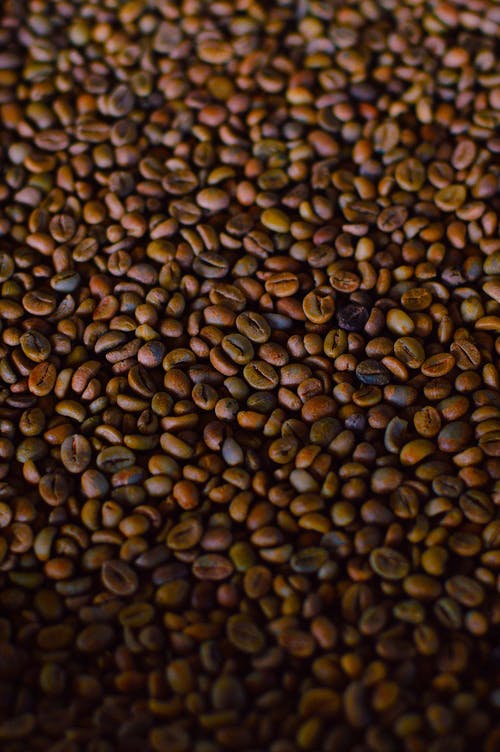 棕色和黑咖啡豆 · 免费素材图片