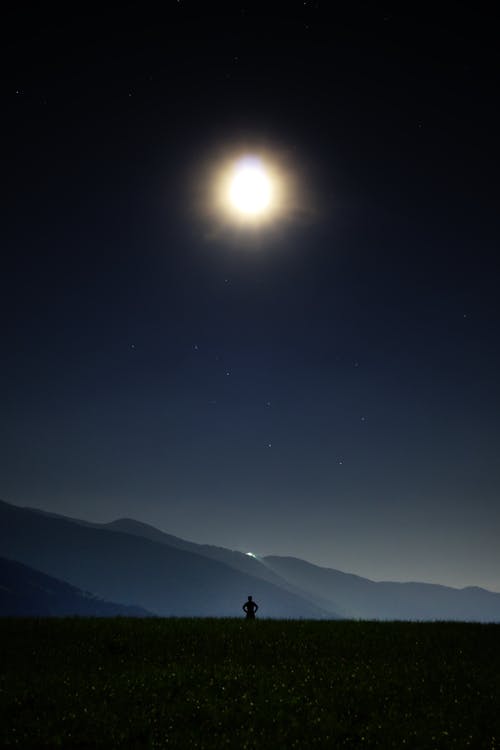 白天在阳光下的绿草中人的剪影 · 免费素材图片