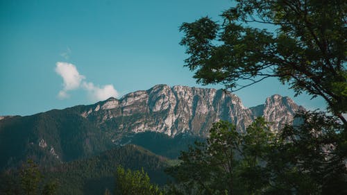 有关光, 分公司, 和平的的免费素材图片