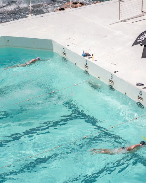 不露面的运动员在游泳池里游泳前爬网 · 免费素材图片