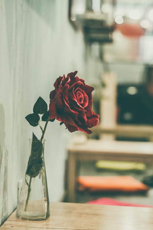 透明玻璃花瓶上的红玫瑰 · 免费素材图片