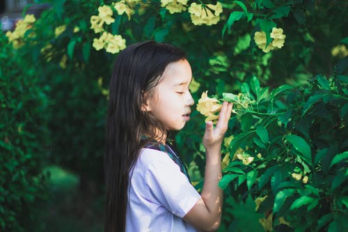 拿着黄色花的白衬衫的女孩 · 免费素材图片