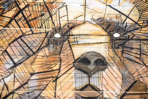 棕色和黑色动物造型艺术品绘画 · 免费素材图片