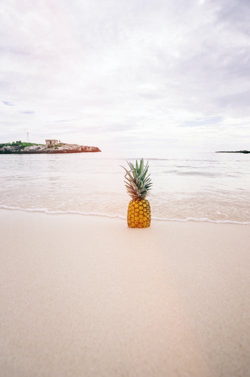 白天在海边菠萝水果 · 免费素材图片