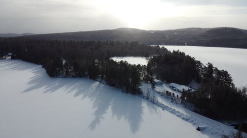 积雪覆盖的田野和树木的航拍 · 免费素材图片