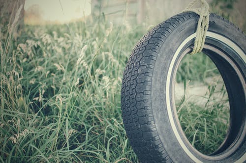 黑色的汽车轮胎绑在白天接近绿色植物的棕色绳子上 · 免费素材图片